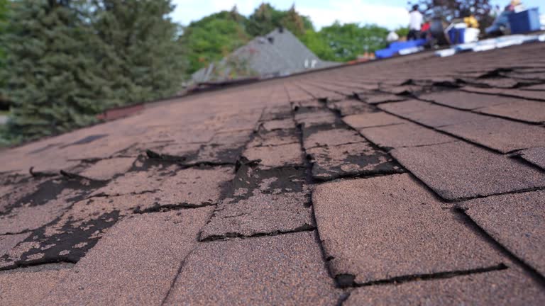 Emergency Roof Repair in Washoe Valley, NV