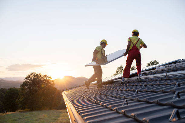 Best Skylight Installation and Repair  in Washoe Valley, NV