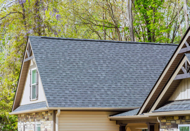 Best Emergency Roof Repair  in Washoe Valley, NV
