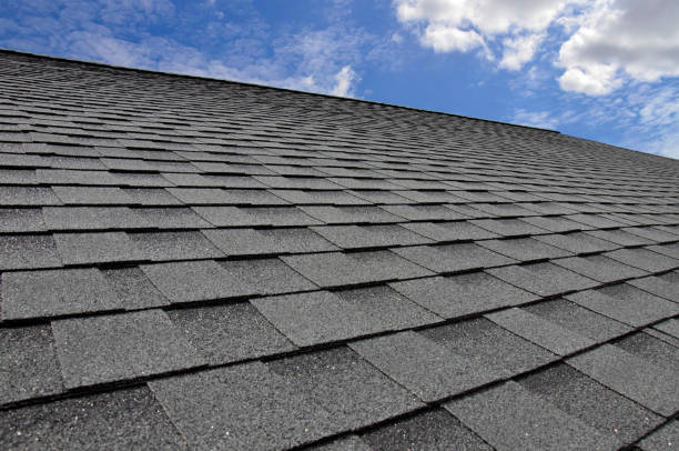 Best Asphalt Shingle Roofing  in Washoe Valley, NV