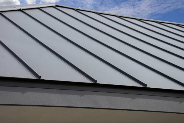 Best Steel Roofing  in Washoe Valley, NV