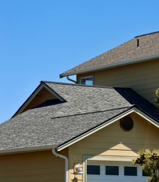 Best Roof Leak Repair  in Washoe Valley, NV